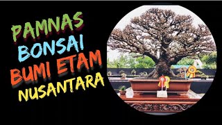 PAMNAS BONSAI BUMI ETAM NUSANTARA 2025 || IDE BONSAI