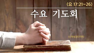 [사도교회 수요기도회]  (요 17:21-26) \