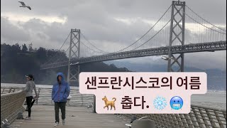 샌프란시스코의 여름풍경 VLOG (🥶동상주의)