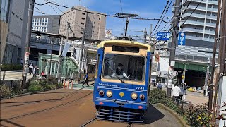 都電荒川線7700形7704号　早稲田行き大塚駅前～向原通過(2024/4/13)