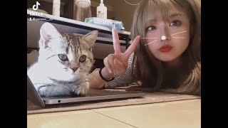 【#shorts】猫と動画を撮ってたら音楽とシンクロした！♡