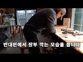 하루만에 목수되기 배워두면 평생자산이 됩니다 목수의 핵심 기본기