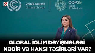 Qlobal iqlim dəyişmələri nədir və hansı təsirləri var?