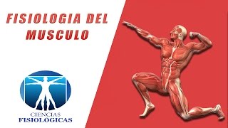 Fisiología del Musculo