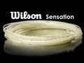 Wilson Sensation String Review