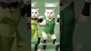 বিড়াল এর নাছ!cat danc! cute cat #cat #cute #catlover #cutecat #funny #kitten #catbarbi #catbarbie