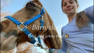 Barn vlog with @Equestrian_Vanessa ! So fun! #horse #equestrian #fun #outside #horseriding #video