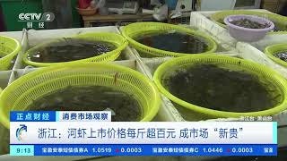 [正点财经]消费市场观察 浙江：河虾上市价格每斤超百元 成市场“新贵”| CCTV财经