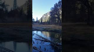 Yosemite valley with surprise Otter.