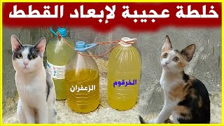 طريقة عبقرية للتعامل مع للقطط /  خلطة عجيبة مع الماء / مشاهدة ممتعة