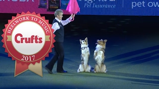 Mary Ray's Heelwork To Music Routine at Crufts 2017