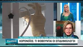 Μ. Γκάγκα: Μόνον με αυστηρή τήρηση των μέτρων το άνοιγμα σχολείων και εκκλησιών | 05/01/2021 | ΕΡΤ