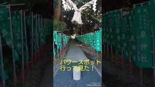 パワースポット行って見た！(泉神社)