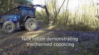 Mechanical Harvesting of Chestnut Coppice