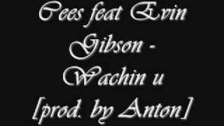 Cees ft. Evin Gibson - Watching You [2010] RNB