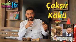 HAMİLE KALMANIN YÖNTEMİ // İKİZ DOĞUTTURUYOR  // GÜLBEN ERGEN