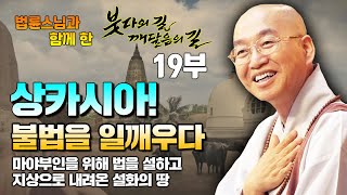 19부 상카시아 - 불법을 일깨우신 성지 [법륜스님과 함께 떠난 인도 성지순례 붓다의 길 깨달음의 길 19부]