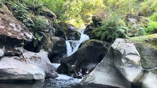 @trinamason asmr waterfall soothing relaxing sounds of nature calming Bellingham Washington waters