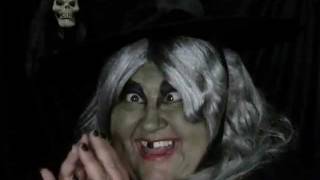 OldBittyGrandma presents CHARTREUSE! The Green, Eco-Friendly Witch for Halloween on fiverr.com