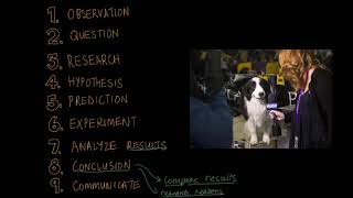 Scientific method & lab reports