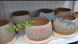 트임분~ 그 두번째시간!! 매력에 빠죠빠죠~~모두 빠죠붜려~~~~♥