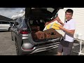 byd seal u banana box test