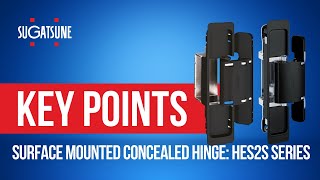 Surface-Mounted Concealed Hinge: Why the HES2S is a Game Changer | Surface-Mounted Concealed Hinge