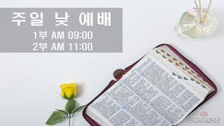 부평성산교회/2024년 12월 29일(주일)-주일 낮 예배(2부)-오전 11시