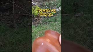 ଏହି 2 ଟି ସ୍ଵପ୍ନ ଅତ୍ୟନ୍ତ ଶୁଭ #odiagyana #odiasong #sadhubanianuchinta