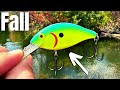 DON'T Fish Without These LURES In The FALL