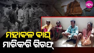 Nuapada News: ବାଘ୍ ଛାଲ୍, ଦାନ୍ତ, ନଖ୍ ସାଙ୍ଗେ ଦୁଶରା ଶିକାର ସାମଗ୍ରୀ ଜବତ୍