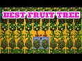 Stardew Valley 1.5 | Ultimate Fruit Tree Guide