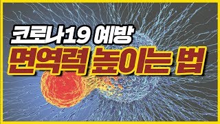 코로나바이러스 감염/확산을 막으려면 면역력을 키우자!