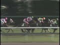 ヒシアマゾン 1994年 第42回クイーンステークス giii 優勝馬：ヒシアマゾン