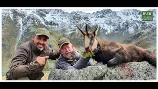 Hunting chamois in Tirol,  Austria