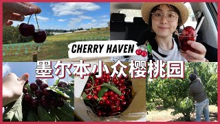 墨尔本不踩雷的小众樱桃园🍒这家樱桃又圆又甜🍃网红Warrandtye农场🍓成功实现樱桃草莓自由✨南半球圣诞最适合遛娃的户外活动🐶~～✮佩奇的日记✮VLOG 87