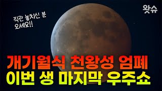 붉은 달(Blood Moon) 직관 놓치신 분들 오세요!!! 개기월식과 천왕성 엄폐 동시관측 우주쇼 / 왓슈