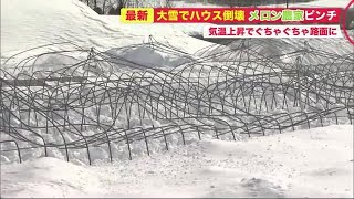 大雪後の気温上昇で ”農業用ハウス”倒壊…住宅全体が「雪に埋まる」 落雪事故の危険 (21/03/04 20:30)