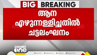 ആന എഴുന്നള്ളിപ്പിൽ ചട്ടലംഘനം; ക്ഷേത്ര കമ്മിറ്റിയുടെ വീഴ്ചയിൽ നടപടിക്ക് ശിപാർഷ