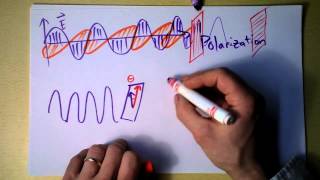 Intro to Polarization Filters!  or...why are those sunglasses so expensive? | Doc Physics