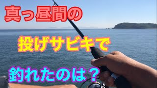 真っ昼間の投げサビキで釣れたのは？吉良サンライズパーク 三河湾