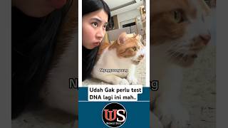 Momen Lucu Kelakuan Emak di tiru Kucing persis banget #ngakak #kelakuanrandom #momenlucu