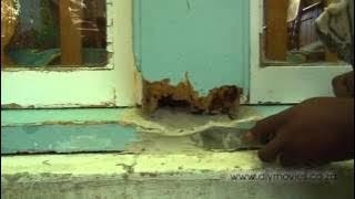 How to repair Window Wood Rot