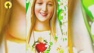 ধন্যা মা কুমারী তুমি যে শুধু আমারই #mothermary #মারিয়া #মামারিয়ারগান#motherofgod #mothermarysongs