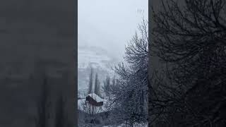 Snow Blanket Covers Lahaul and Spiti as Fresh Flakes Fall Over the Region!