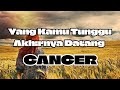 🍃Cancer🍃Yang Kamu Tunggu🥱 Akhirnya Datang🥳