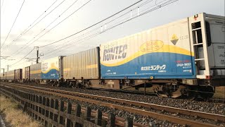 宇都宮線 貨物列車 EH500-14牽引 4059レ 氏家－蒲須坂 ‘21.11.21