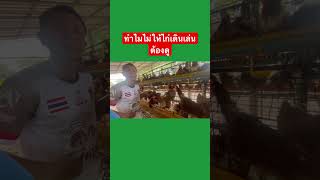 ทำไมไม่ให้ไก่เดินเล่น ต้องดู #ฟาร์มไก่ไข่ครูฟิล์ม