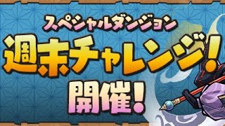 【#週末チャレンジ！】もうパズドラ辞めたくなってくる…【#パズドラ】