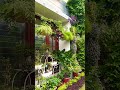 house garden#morningvibes #peace#shorts#gardening#youtubeshorts #home #garden #ytviral #short